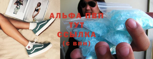 сатива Абаза