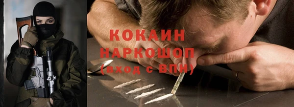 сатива Абаза