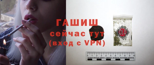 сатива Абаза