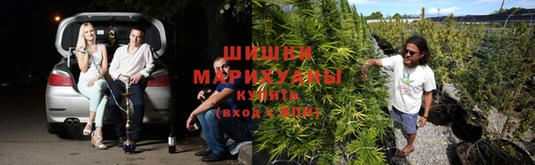 сатива Абаза