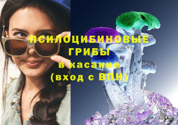 амф Абинск